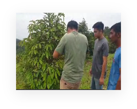 Lenggong Project