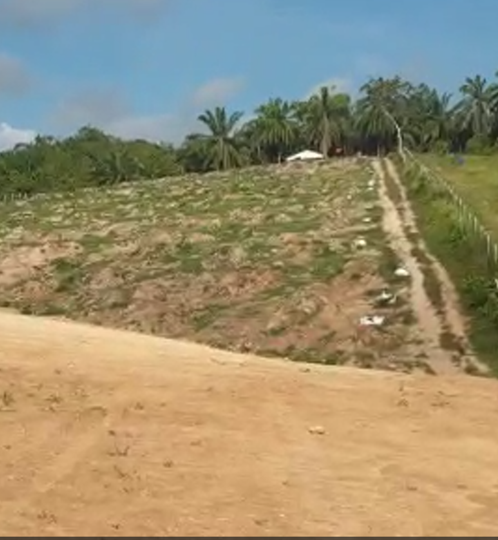 Lenggong Project