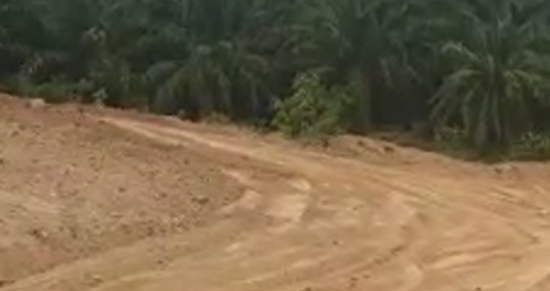Lenggong Project